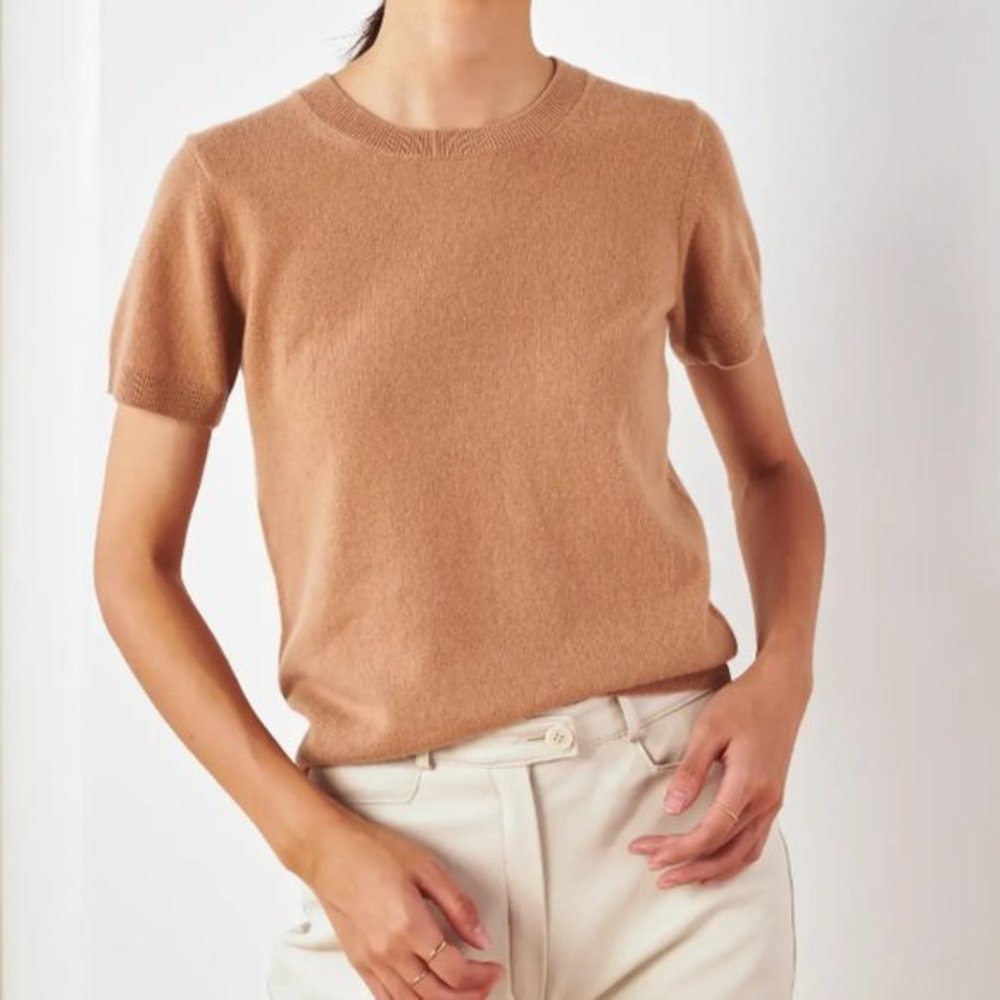 Quince Size Small Mongolian Cashmere Crew Neck Tee Sweater in Camel Brown